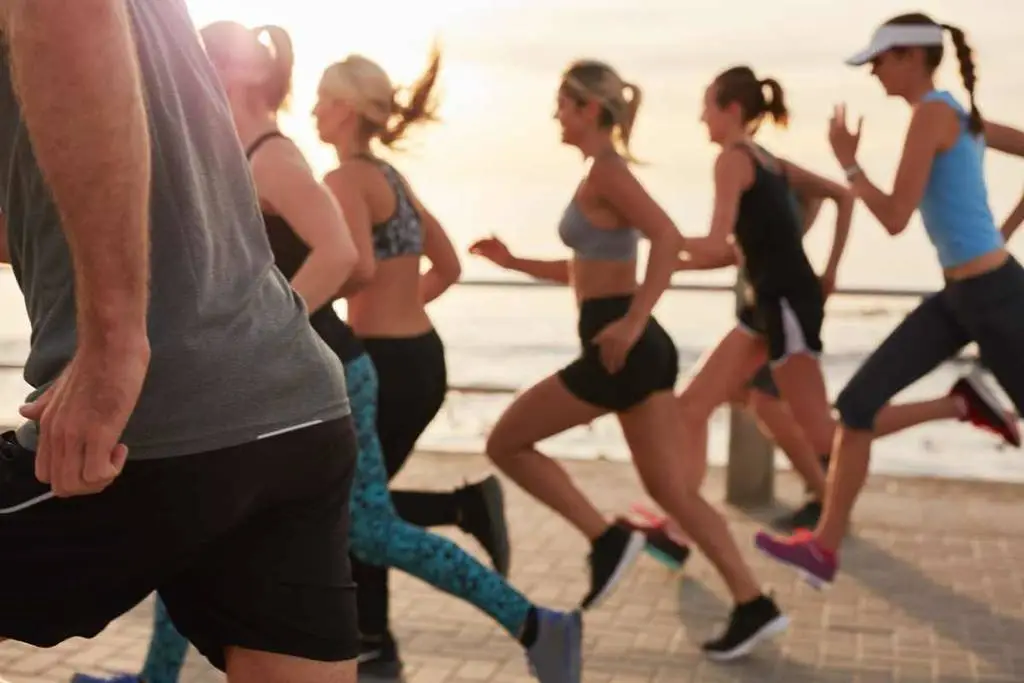 Performance Analysis - Data-Driven Results and Fitness Metrics Comparison